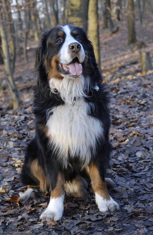 Anton_DSC2187 Kopie.jpg   26.04.jpg - .